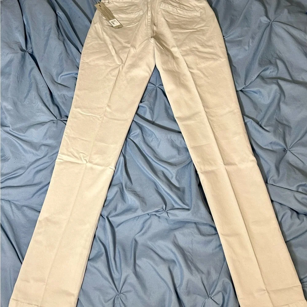 👖Mist-ify Your Style! Hudson Chinos Size 28 💨🔥